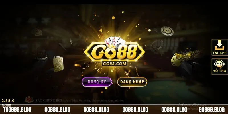 CEO David Nguyễn 5 Tương lai của Go88 rất vững vàng
