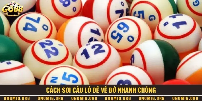 Đề về 21 hôm sau đánh con gì? Soi cầu chuẩn trúng lớn 3 Hướng dẫn soi cầu khi kết quả xổ số về con 21