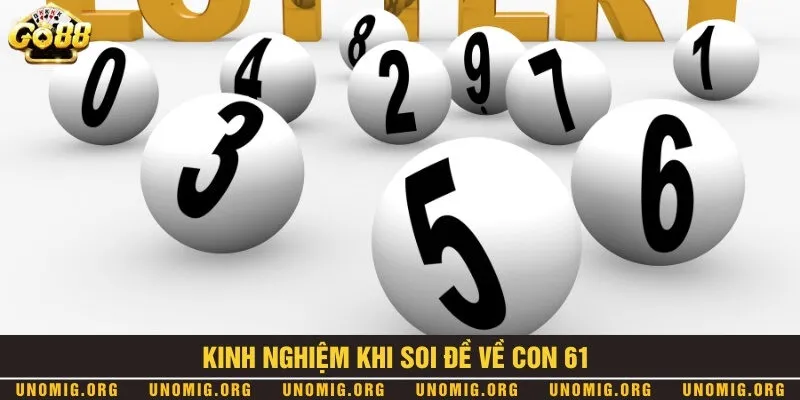 Đề về 61 mai đánh lô gì đảm bảo dễ trúng mới nhất 2024 3 Kinh nghiệm để chọn số đề chuẩn khi đề về 61
